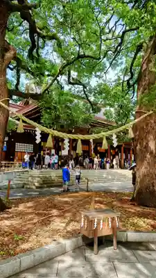 明治神宮(東京都)