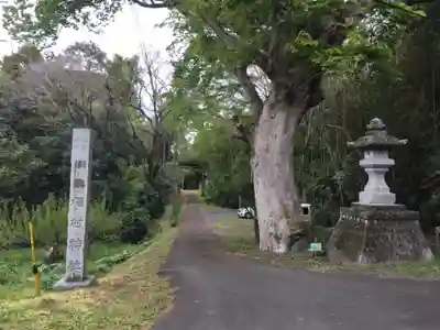 稲村神社のその他建物