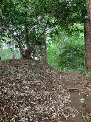 厳島神社(千葉県)