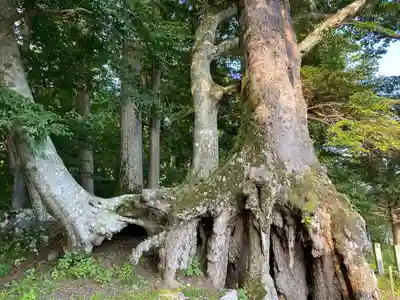 富士山東口本宮 冨士浅間神社(静岡県)