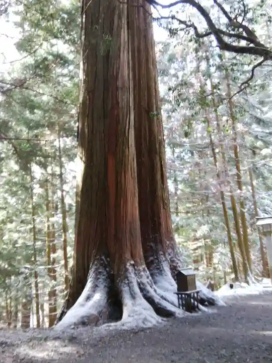 三峯神社(埼玉県)