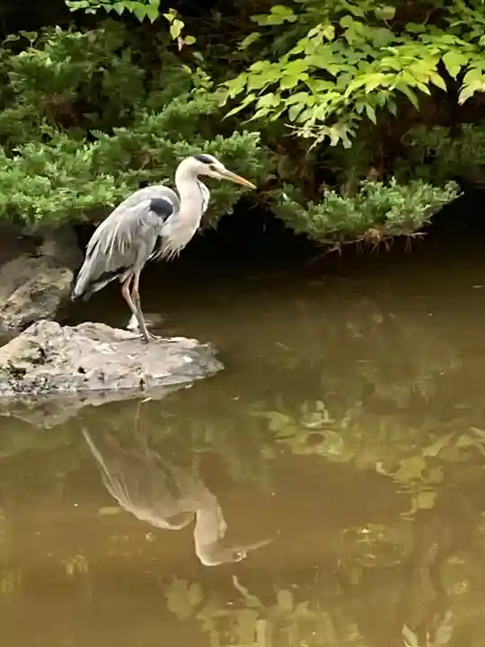 平塚八幡宮(神奈川県)