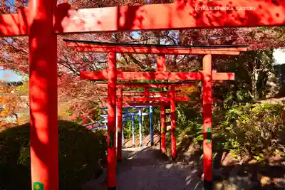足利織姫神社(栃木県)