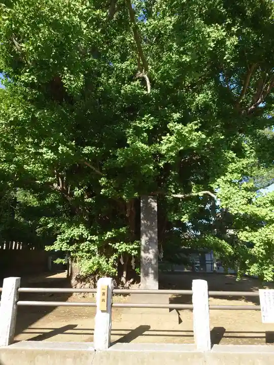 葛飾八幡宮のその他建物