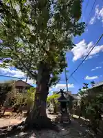 春日神社(奈良県)