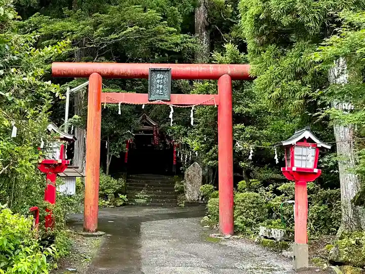 駒形神社(箱根神社摂社)の鳥居