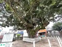 川俣神社(三重県)