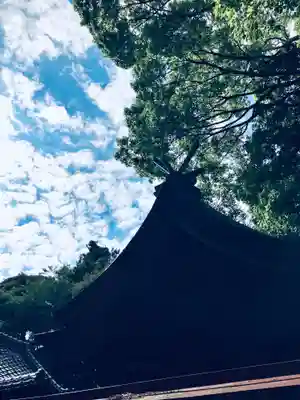 金刀比羅神社(茨城県)