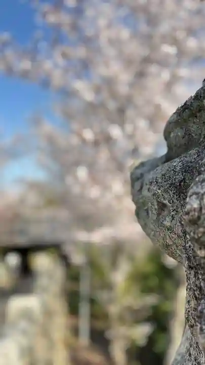 吉備津岡辛木神社(岡山県)