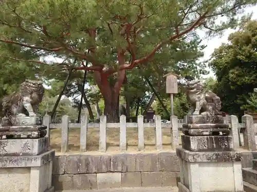 北野天満宮のその他建物