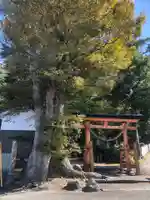 紀部神宮(大阪府)