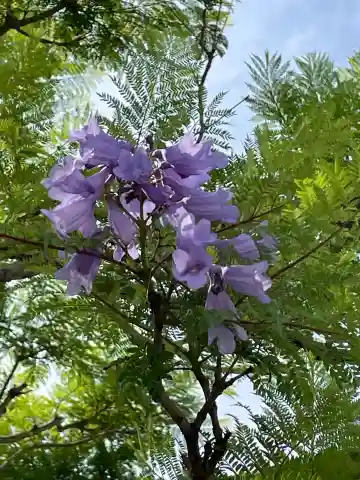 普照院(兵庫県)