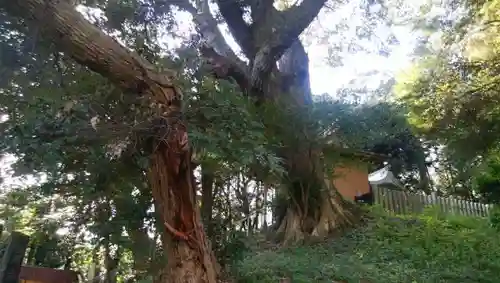 大生殿神社の建物その他