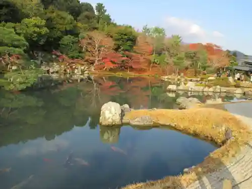 天龍寺の庭園