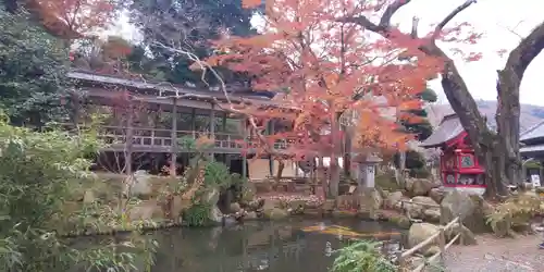 楽法寺（雨引観音）の庭園