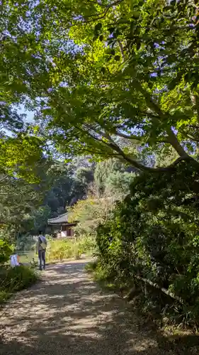 浄瑠璃寺(京都府)
