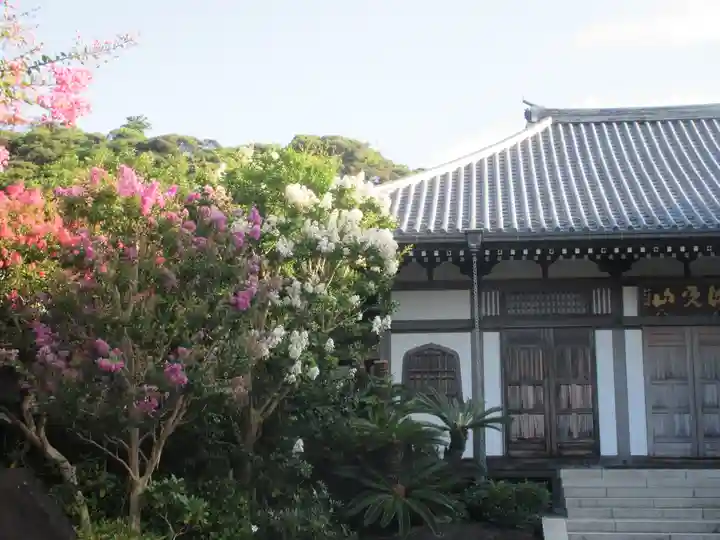 長谷寺(神奈川県)