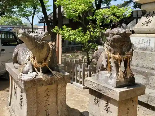 津田天満神社の狛犬