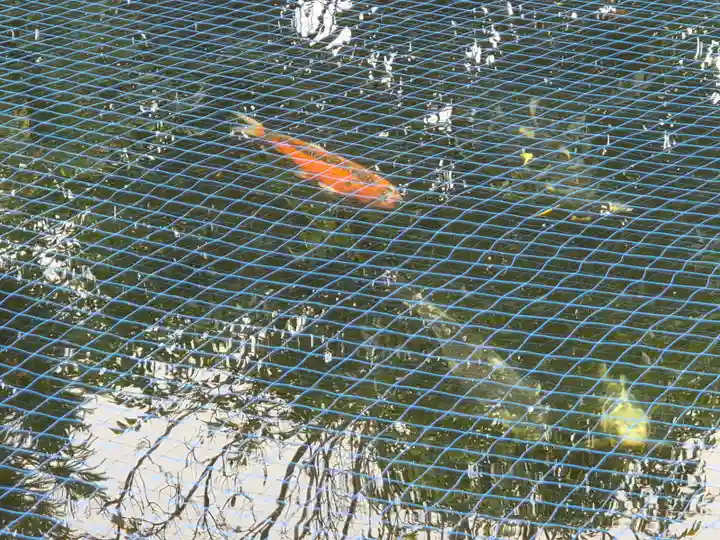 栗橋八坂神社(埼玉県)