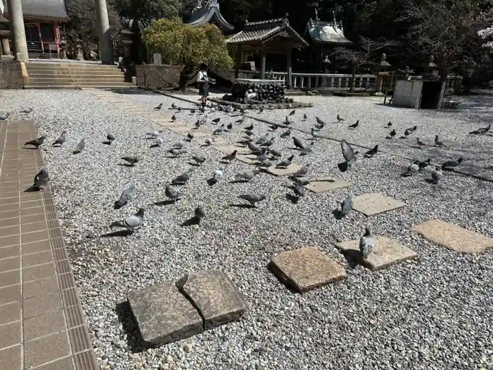 早吸日女神社(大分県)