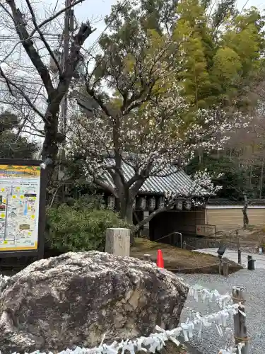 高台寺（高台寿聖禅寺・高臺寺）の{uncategorized: "未分類", other: "その他", undefined: "問題あり", building: "その他建物", grave: "お墓", sacred_gate: "鳥居", guardian: "狛犬", statue: "像", buddha: "仏像", history: "歴史", nature: "自然", garden: "庭園", animal: "動物", pagoda: "塔", temizu: "手水舎", mountain_gate: "山門・神門", sanctuary: "本殿・本堂", subordinate: "末社・摂社", art: "芸術", scenery: "景色", jizo: "地蔵", ema: "絵馬", goshuin: "御朱印", omikuji: "おみくじ", items: "授与品その他", amulet: "お守り", goshuincho: "御朱印帳", eats: "食事", festival: "お祭り", votive_dance: "神楽", shichigosan: "七五三参", wedding: "結婚式", experience: "体験その他", initially: "初詣", around: "周辺", anti_infection: "感染症対策"}