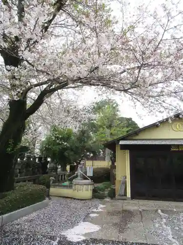 真光寺(千葉県)