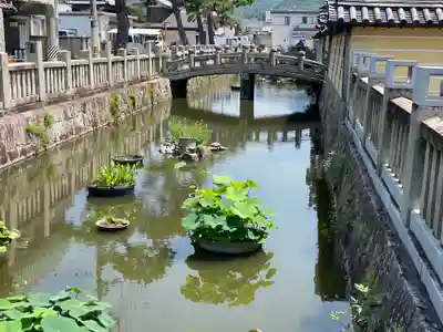 善通寺(香川県)