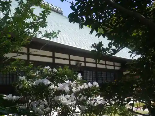浄妙寺の本殿・本堂