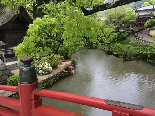 太宰府天満宮(福岡県)