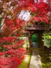 金福寺(京都府)