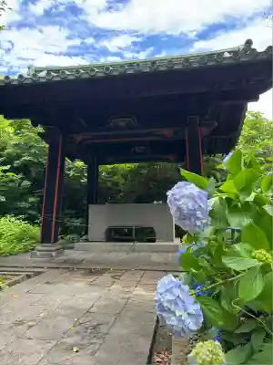 湯島聖堂(東京都)