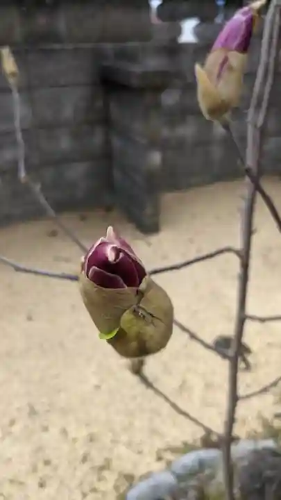 興昌寺(愛知県)