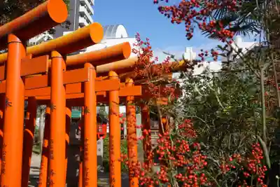 三輪神社の鳥居