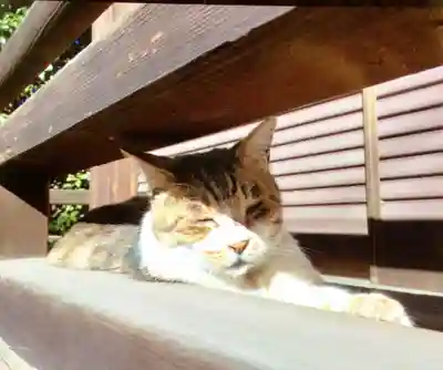 荻窪白山神社(東京都)