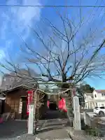 城山稲荷神社(茨城県)