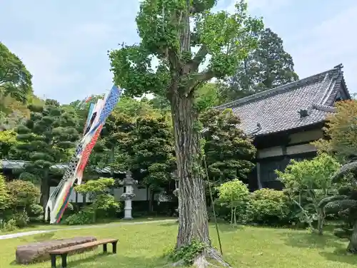 宝金剛寺の{uncategorized: "未分類", other: "その他", undefined: "問題あり", building: "その他建物", grave: "お墓", sacred_gate: "鳥居", guardian: "狛犬", statue: "像", buddha: "仏像", history: "歴史", nature: "自然", garden: "庭園", animal: "動物", pagoda: "塔", temizu: "手水舎", mountain_gate: "山門・神門", sanctuary: "本殿・本堂", subordinate: "末社・摂社", art: "芸術", scenery: "景色", jizo: "地蔵", ema: "絵馬", goshuin: "御朱印", omikuji: "おみくじ", items: "授与品その他", amulet: "お守り", goshuincho: "御朱印帳", eats: "食事", festival: "お祭り", votive_dance: "神楽", shichigosan: "七五三参", wedding: "結婚式", experience: "体験その他", initially: "初詣", around: "周辺", anti_infection: "感染症対策"}