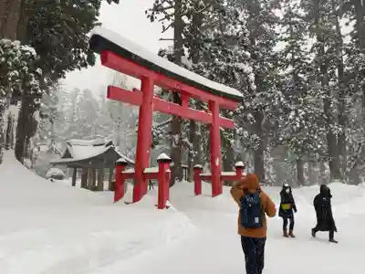 出羽神社(出羽三山神社)~三神合祭殿~の鳥居