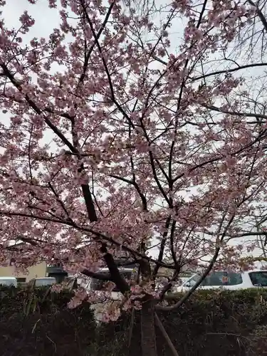 前鳥神社(神奈川県)
