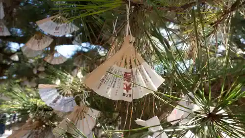 智恩寺(京都府)