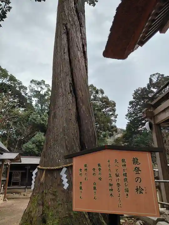 豊受大神社(京都府)