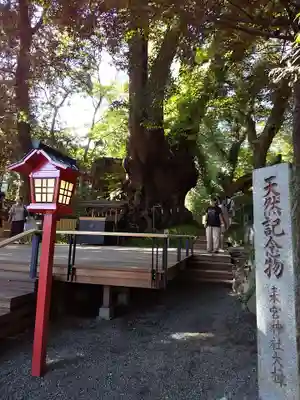 來宮神社の歴史