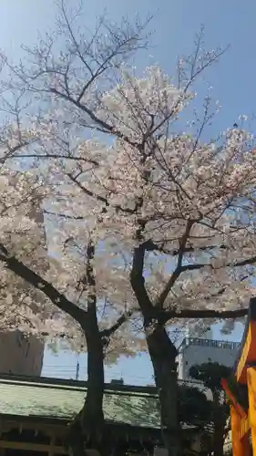 櫛田神社の自然