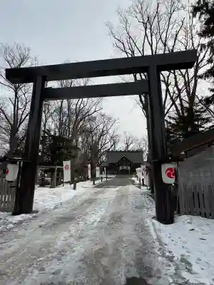 旭川神社の鳥居