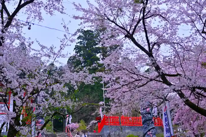 金櫻神社(山梨県)