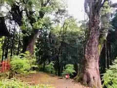 榎原神社の自然