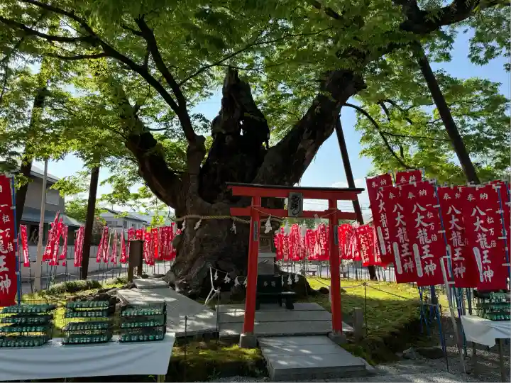 秩父今宮神社(埼玉県)