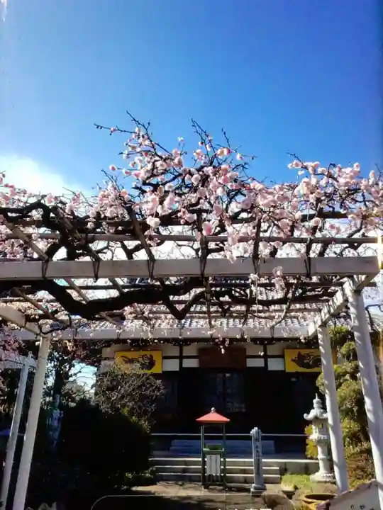 長善寺(東京都)