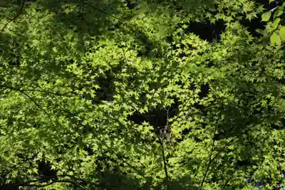 国宝 大法寺(長野県)