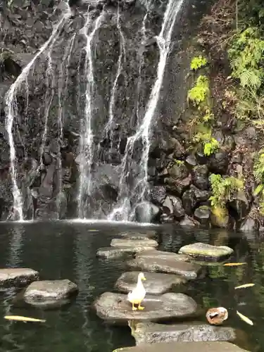 玉簾神社の庭園