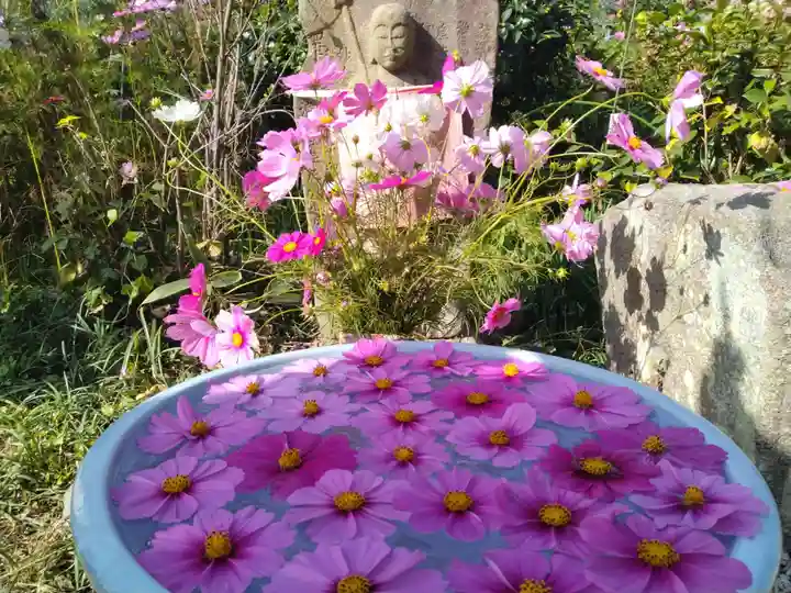 般若寺 ❁コスモス寺❁の手水舎